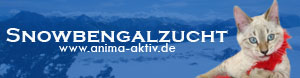 anima_aktiv_banner